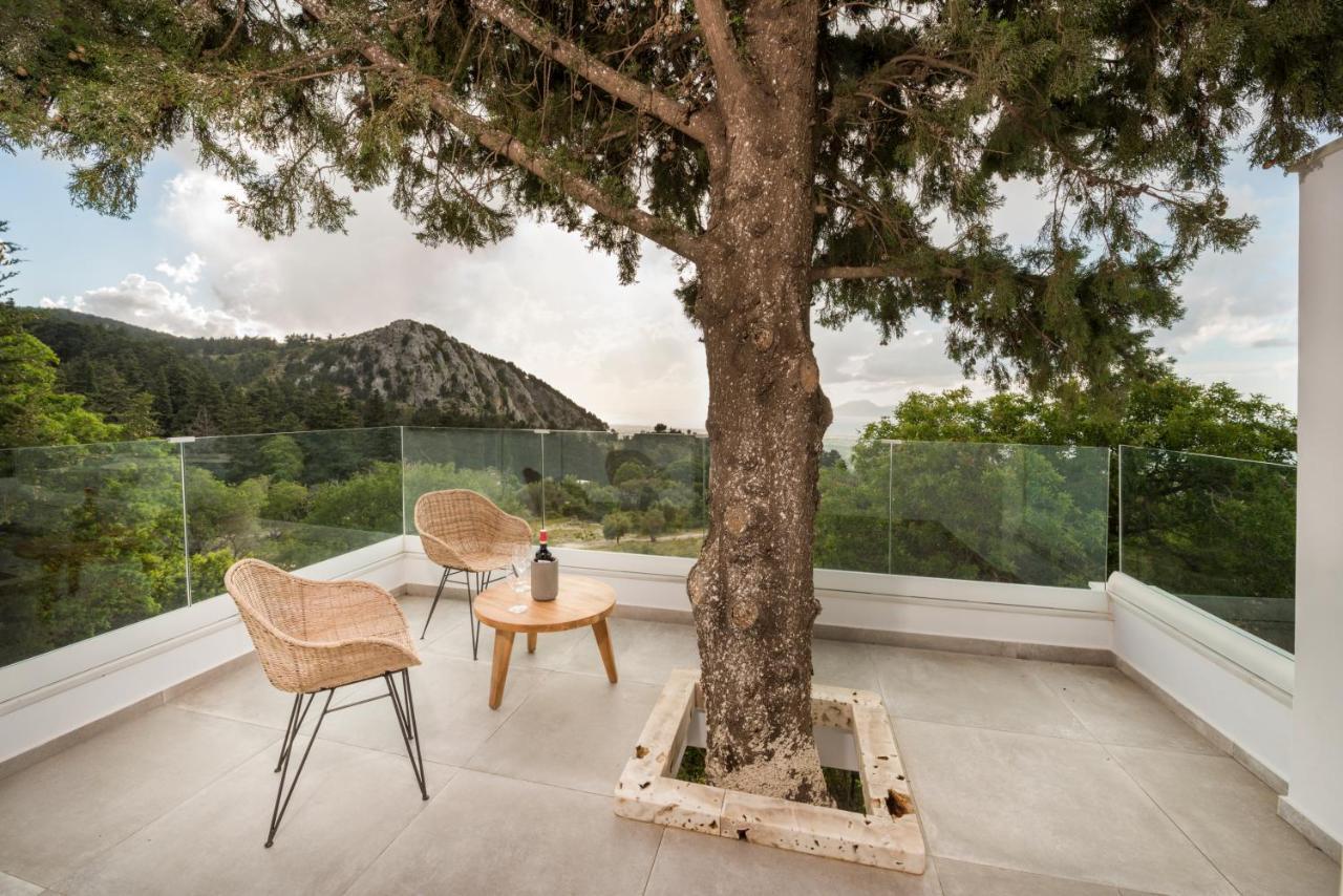 Lagoudi Zia Forest View Villas 1 מראה חיצוני תמונה