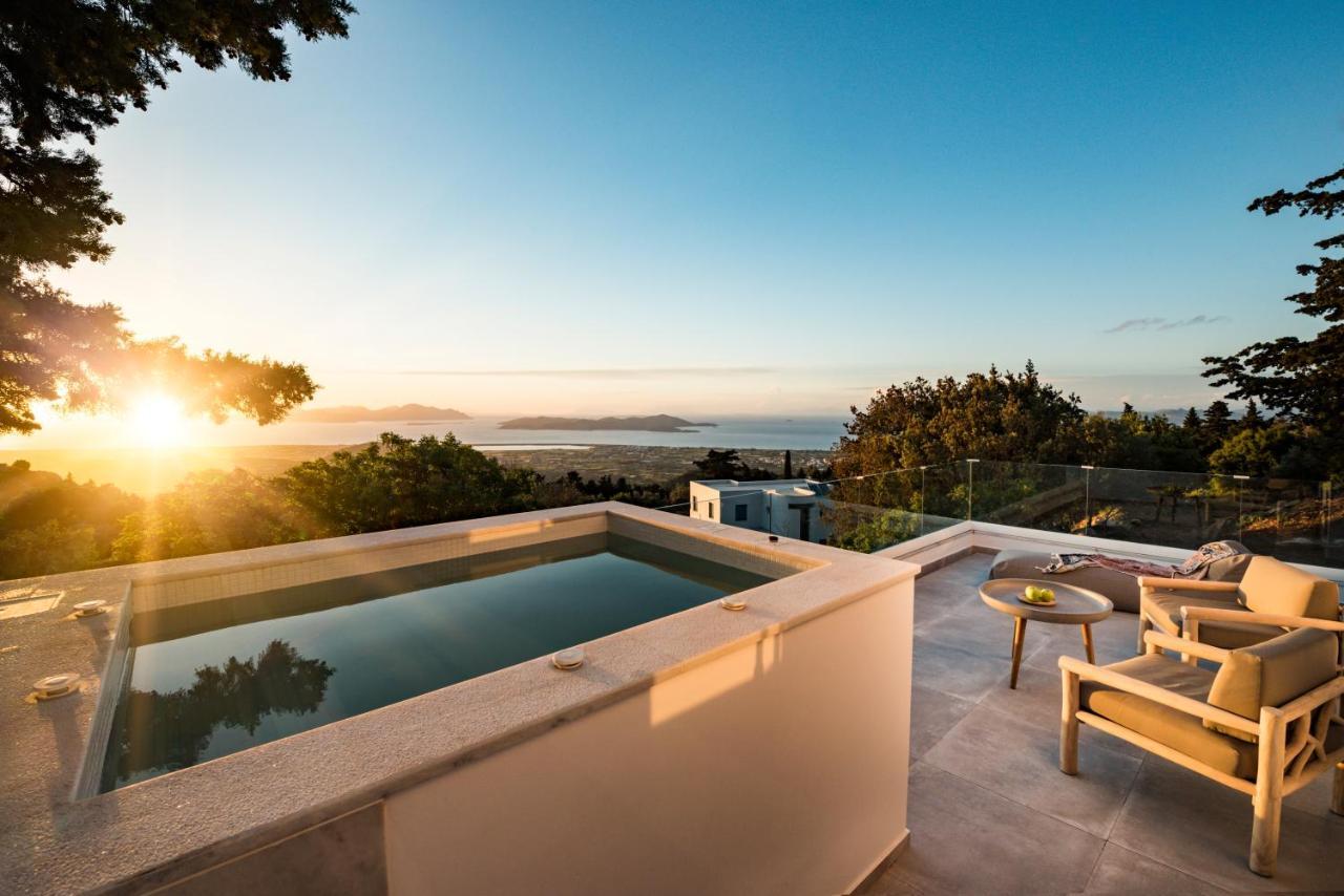 Lagoudi Zia Forest View Villas 1 מראה חיצוני תמונה